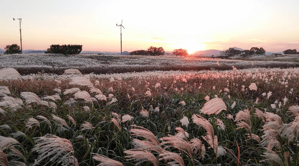 Những thiên đường tình yêu trong phim tuổi thanh xuân yH5BAEAAAAALAAAAAABAAEAAAIBRAA7 - Những thiên đường tình yêu trong phim tuổi thanh xuân