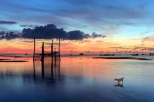 Hà Nội - Đảo Ngọc Phú Quốc yH5BAEAAAAALAAAAAABAAEAAAIBRAA7 - Hà Nội - Đảo Ngọc Phú Quốc