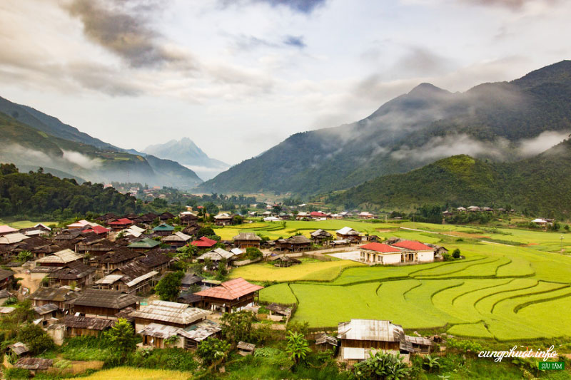 MÙ CANG CHẢI – BẢN LƯỚT – NGỌC CHIẾN MÙA LÚA CHÍN 2N1Đ yH5BAEAAAAALAAAAAABAAEAAAIBRAA7 - MÙ CANG CHẢI – BẢN LƯỚT – NGỌC CHIẾN MÙA LÚA CHÍN 2N1Đ