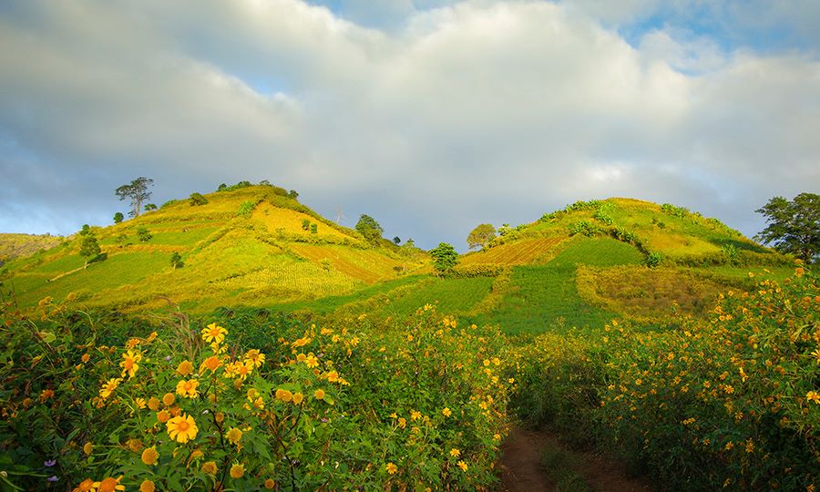 du lich tay nguyen 1 - Tour khám phá Tây Nguyên - Mùa dã quỳ vàng