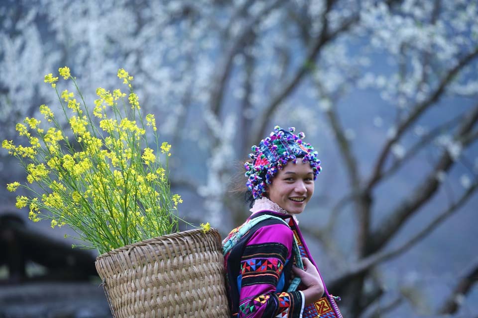 si ma cai 1 - Tour trọn gói Hoàng Su Phì - Si Mai Cai - Bắc Hà 3 ngày 2 đêm